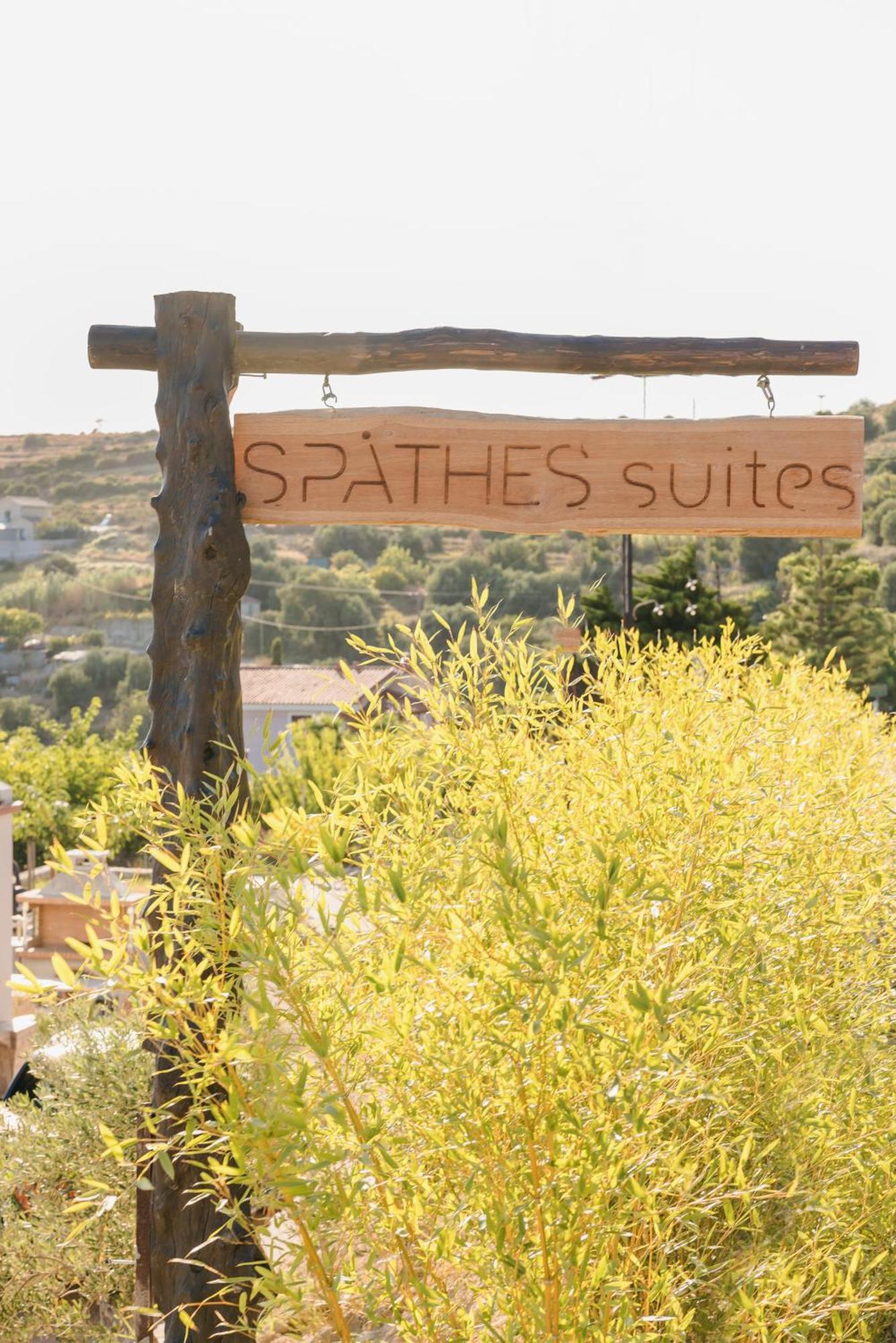 Spathes Suites Kefalonia - Luxury Suites Ratzaklion Luaran gambar